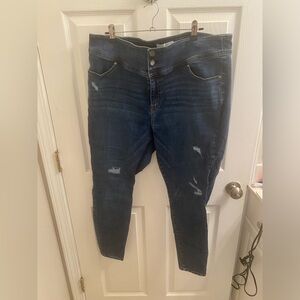 Lane Bryant Skinny Jeans
